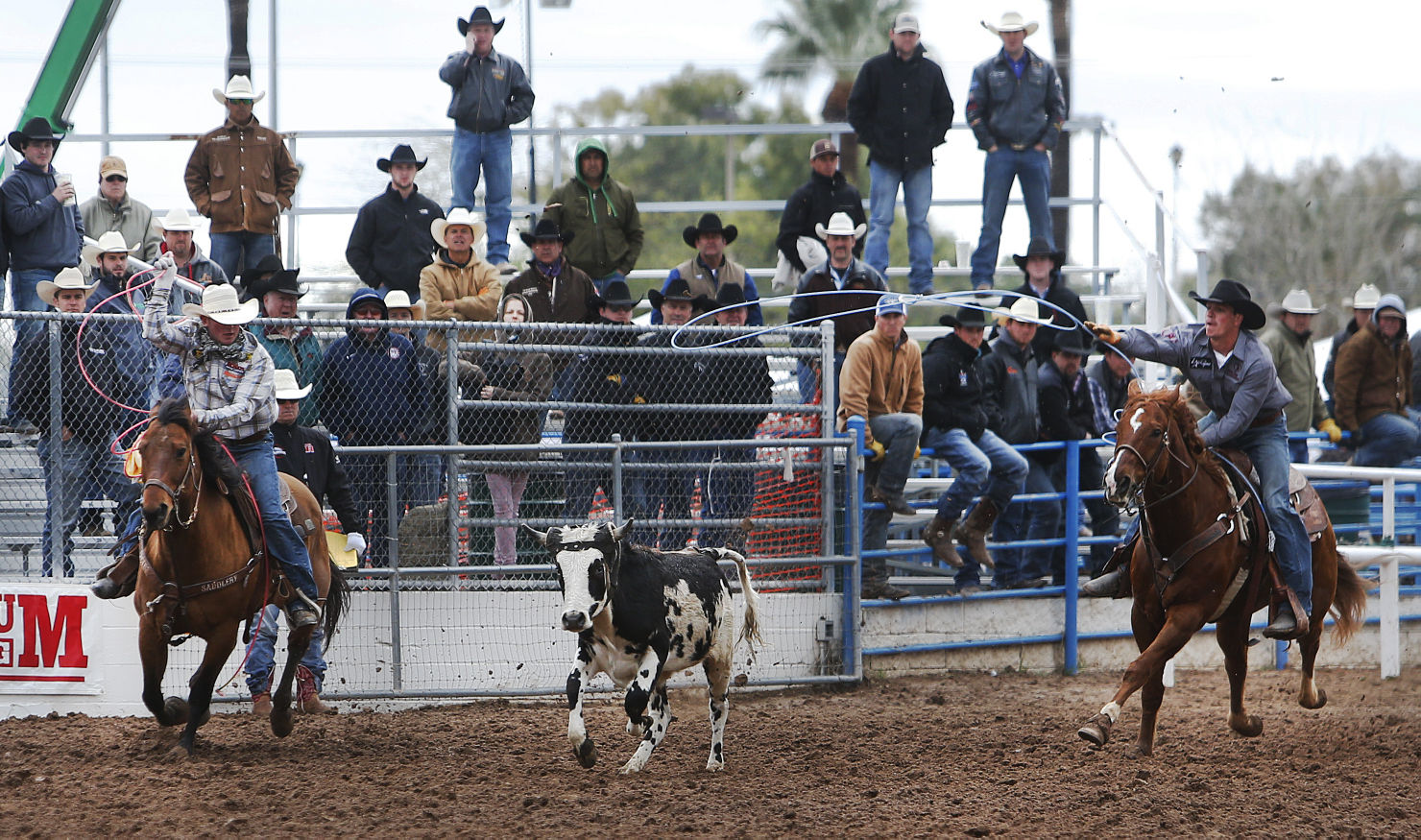 La Fiesta de los Vaqueros